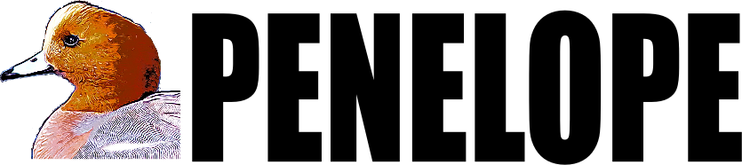 Proyecto PENELOPE