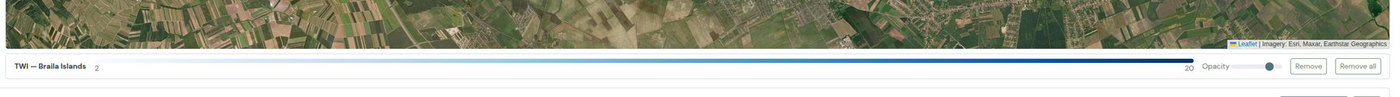 The bar under the map showing the active layer, its legend and its opacity slider